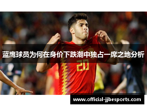 蓝鹰球员为何在身价下跌潮中独占一席之地分析