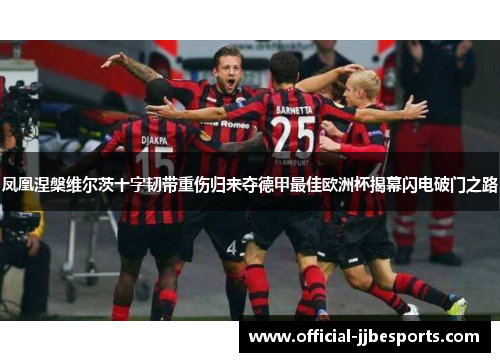 凤凰涅槃维尔茨十字韧带重伤归来夺德甲最佳欧洲杯揭幕闪电破门之路